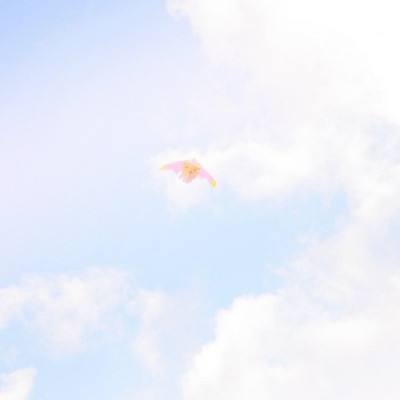 魔法之光官方版下载